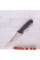  Ніж для м`яса розробний Colour-prof 18 см Arcos 240200