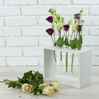  Підставка з пробірками 5 відділень біла Accessories 20x12x18 см Склоприлад